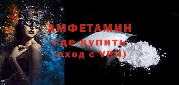 индика Богородск