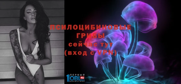 mix Бородино
