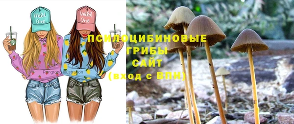 jwh Бронницы